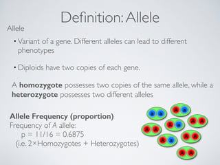 Definition: Allele Allele 
• Variant of a gene. Different alleles can lead to different 
phenotypes 
•Diploids have two copies of each gene. 
A homozygote possesses two copies of the same allele, while a 
heterozygote possesses two different alleles 
Allele Frequency (proportion) 
Frequency of A allele: 
p = 11/16 = 0.6875 
(i.e. 2×Homozygotes + Heterozygotes) 
 