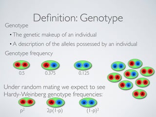 Definition: Genotype Genotype 
•The genetic makeup of an individual 
• A description of the alleles possessed by an individual 
Genotype frequency 
0.5 0.375 0.125 
Under random mating we expect to see 
Hardy-Weinberg genotype frequencies: 
p2 2p(1-p) (1-p)2 
 