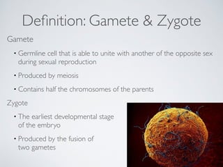 Definition: Gamete & Zygote 
Gamete 
• Germline cell that is able to unite with another of the opposite sex 
during sexual reproduction 
• Produced by meiosis 
• Contains half the chromosomes of the parents 
Zygote 
• The earliest developmental stage 
of the embryo 
• Produced by the fusion of 
two gametes 
 