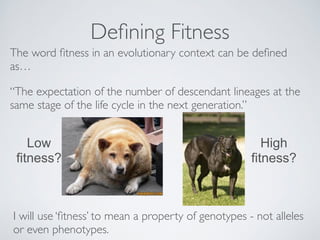 Defining Fitness 
The word fitness in an evolutionary context can be defined 
as… 
“The expectation of the number of descendant lineages at the 
same stage of the life cycle in the next generation.” 
Low 
fitness? 
High 
fitness? 
I will use ‘fitness’ to mean a property of genotypes - not alleles 
or even phenotypes. 
 