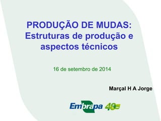 PRODUÇÃO DE MUDAS: Estruturas de produção e aspectos técnicos 
16 de setembro de 2014 
Marçal H A Jorge  