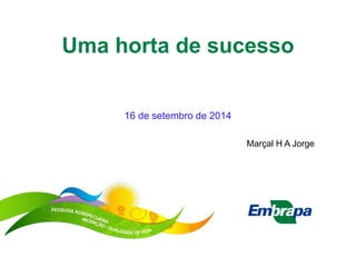 Uma horta de sucesso 
16 de setembro de 2014 
Marçal H A Jorge 
 