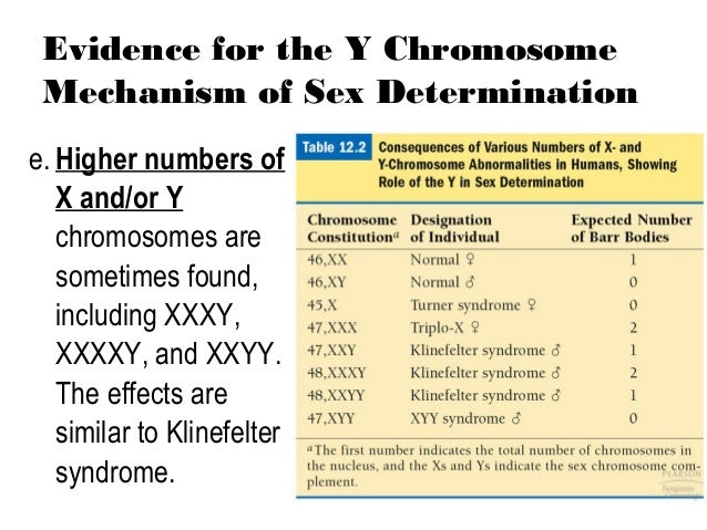 X Xxxy - Showing Porn Images for Xxxxy chromosome men porn | www.nopeporno.com
