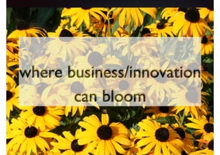 where business/innovation 
can bloom 
 