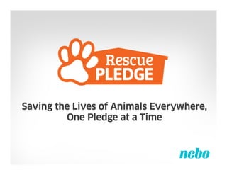 Saving the Lives of Animals Everywhere,
One Pledge at a Time

 
