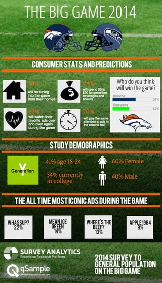 2014 Super Bowl Consumer Stats