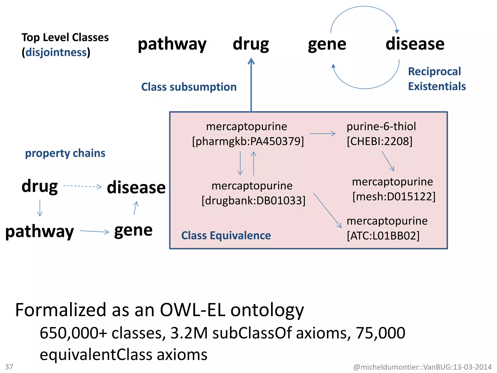 mercaptopurine
[pharmgkb:PA450379]
mercaptopurine
[drugbank:DB01033]
purine-6-thiol
[CHEBI:2208]
Class Equivalence
mercaptopurine
[ATC:L01BB02]
Top Level Classes
(disjointness)
drug diseasegenepathway
property chains
Class subsumption
mercaptopurine
[mesh:D015122]
Reciprocal
Existentials
drug disease
pathway gene
Formalized as an OWL-EL ontology
650,000+ classes, 3.2M subClassOf axioms, 75,000
equivalentClass axioms
@micheldumontier::VanBUG:13-03-201437
 