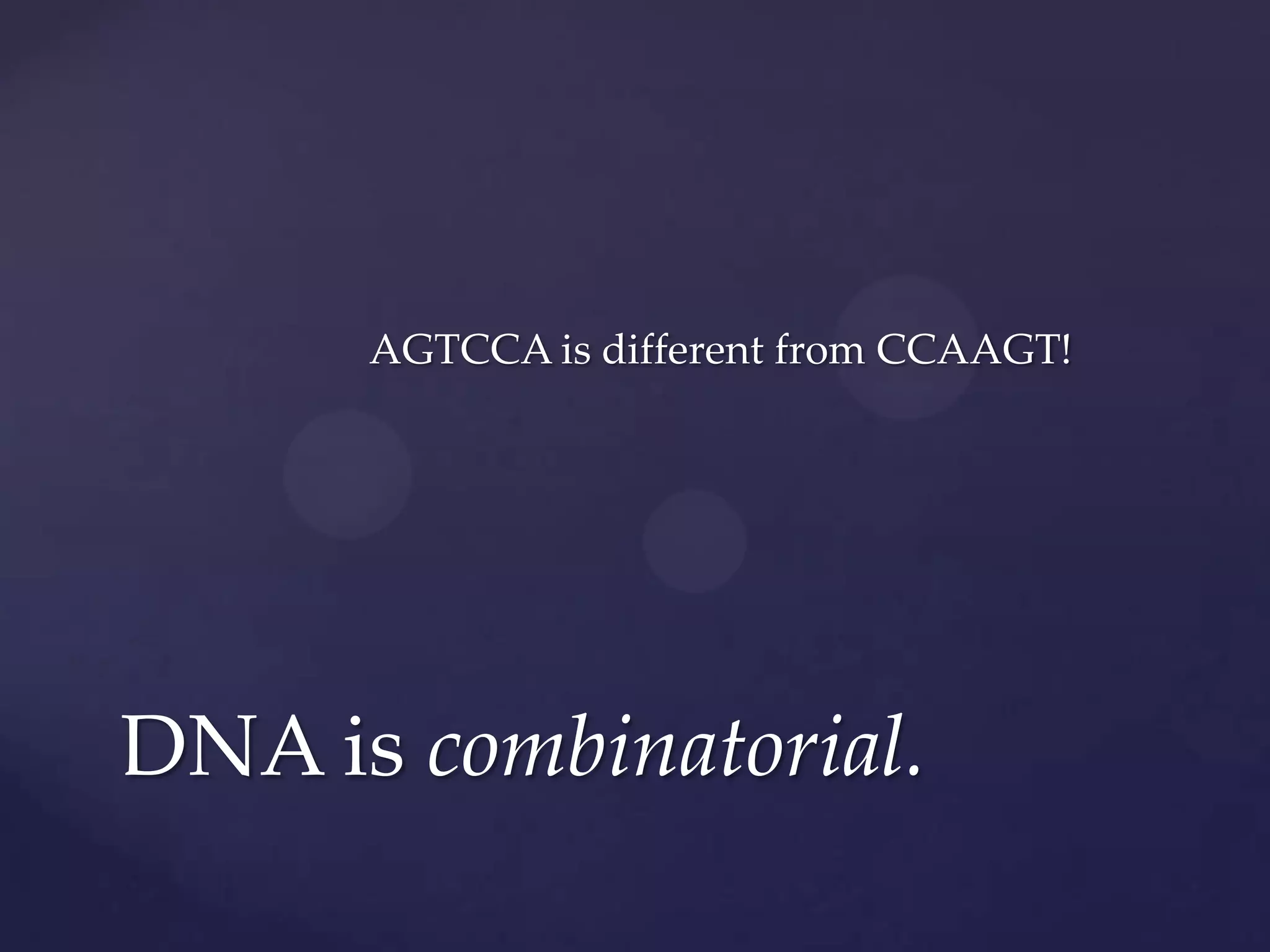 AGTCCA is different from CCAAGT!

DNA is combinatorial.

 