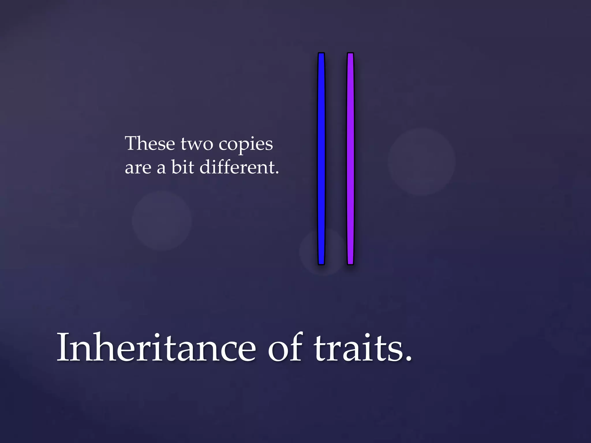 These two copies
are a bit different.

Inheritance of traits.

 