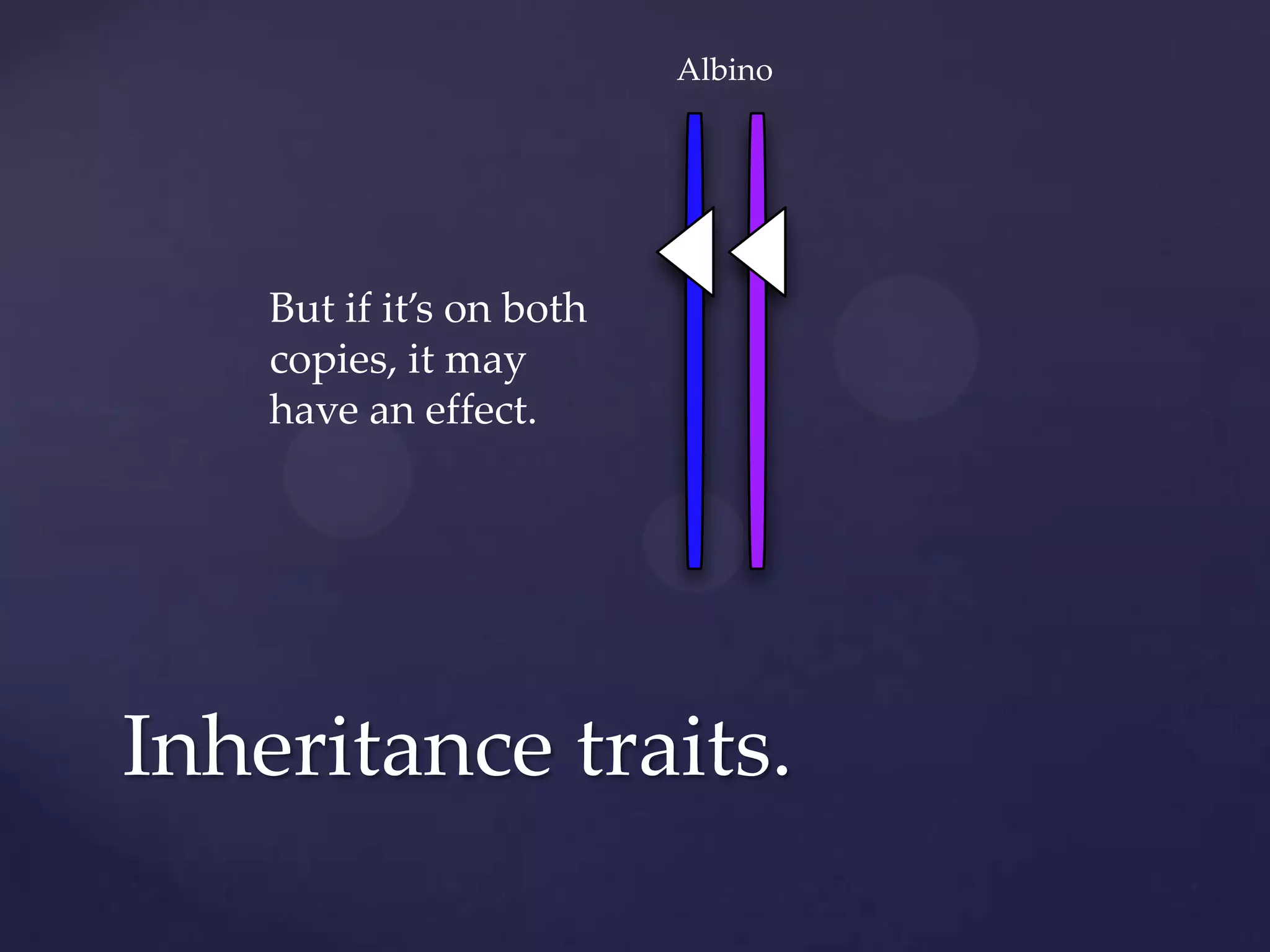 Albino

But if it’s on both
copies, it may
have an effect.

Inheritance traits.

 