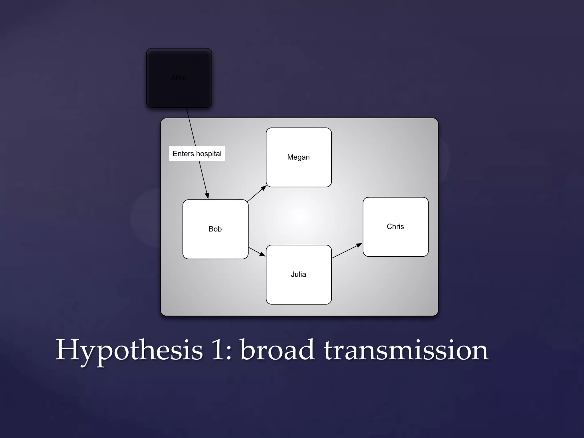 Alice

Enters hospital

Megan

Chris

Bob

Julia

Hypothesis 1: broad transmission

 