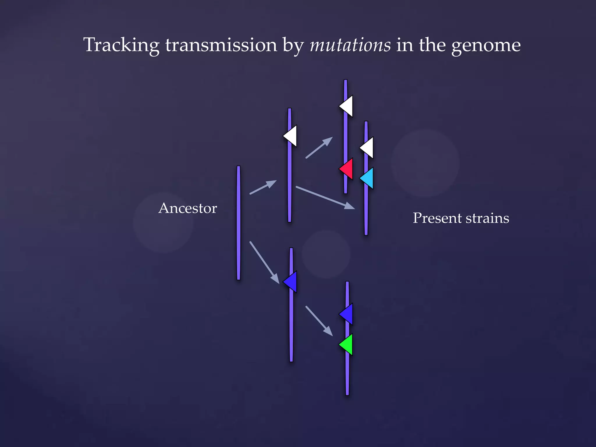 Tracking transmission by mutations in the genome

Ancestor

Present strains

 
