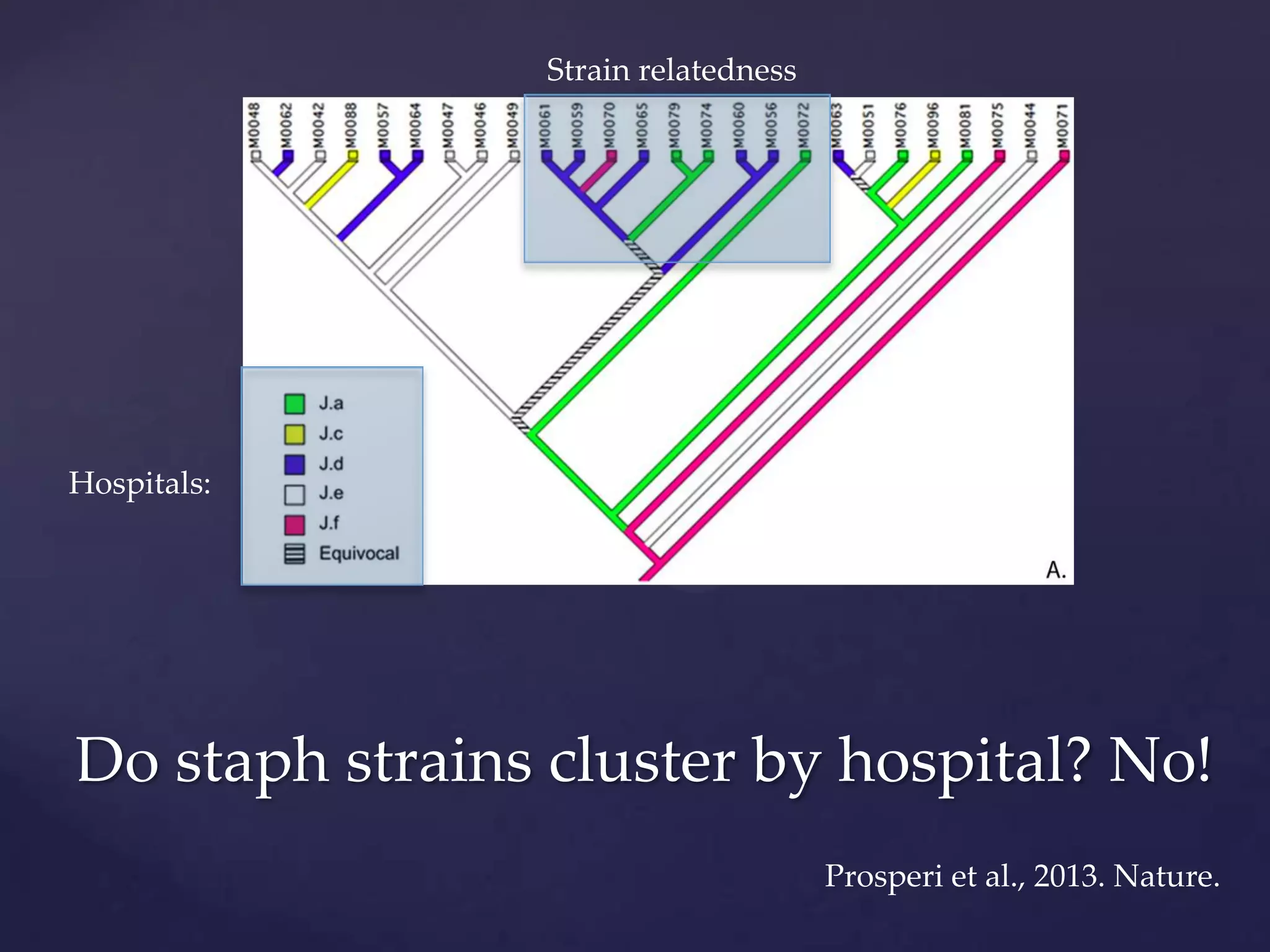 Strain relatedness

Hospitals:

Do staph strains cluster by hospital? No!
Prosperi et al., 2013. Nature.

 