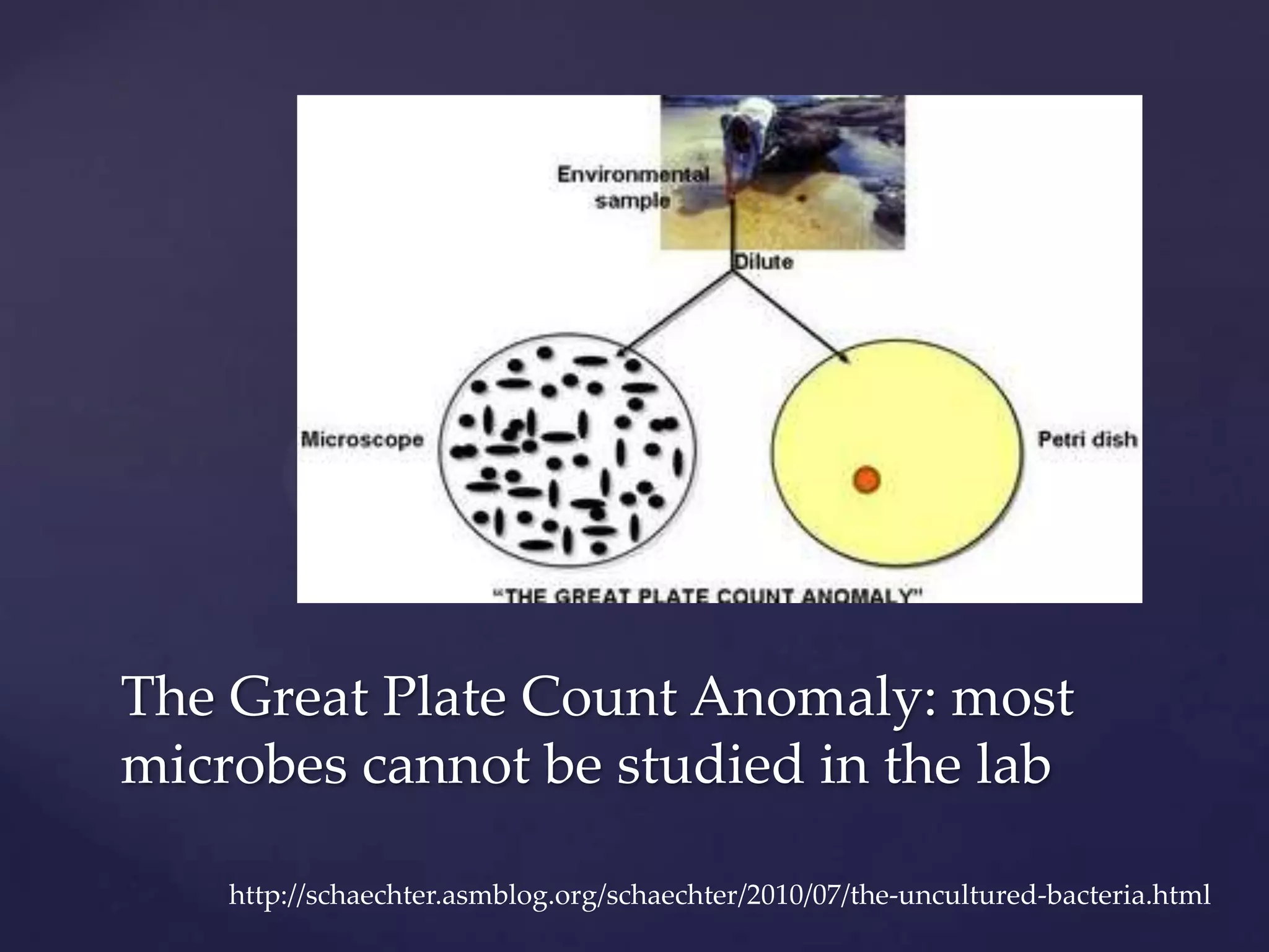 The Great Plate Count Anomaly: most
microbes cannot be studied in the lab
http://schaechter.asmblog.org/schaechter/2010/07/the-uncultured-bacteria.html

 