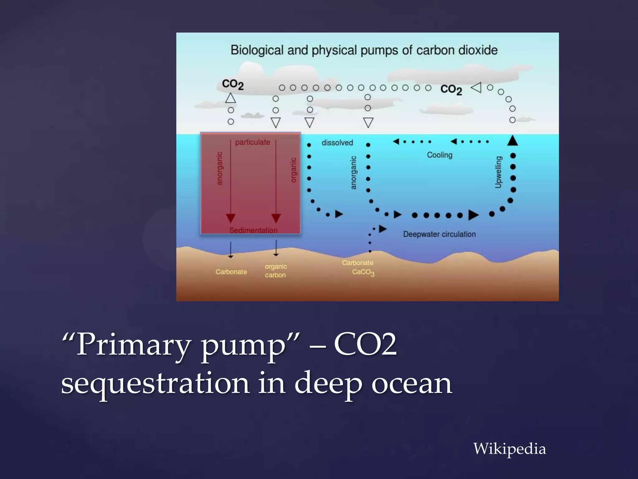 “Primary pump” – CO2
sequestration in deep ocean
Wikipedia

 