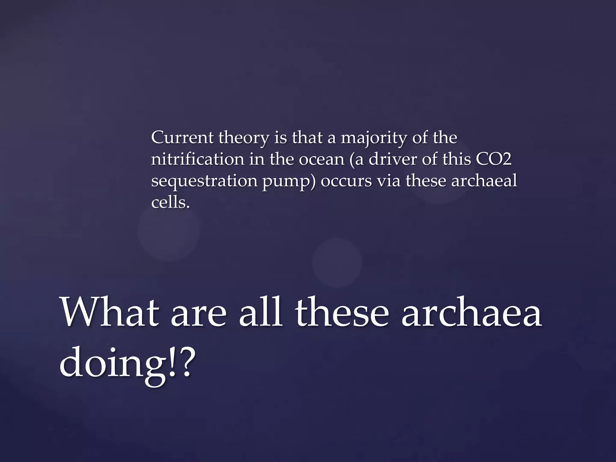 Current theory is that a majority of the
nitrification in the ocean (a driver of this CO2
sequestration pump) occurs via these archaeal
cells.

What are all these archaea
doing!?

 
