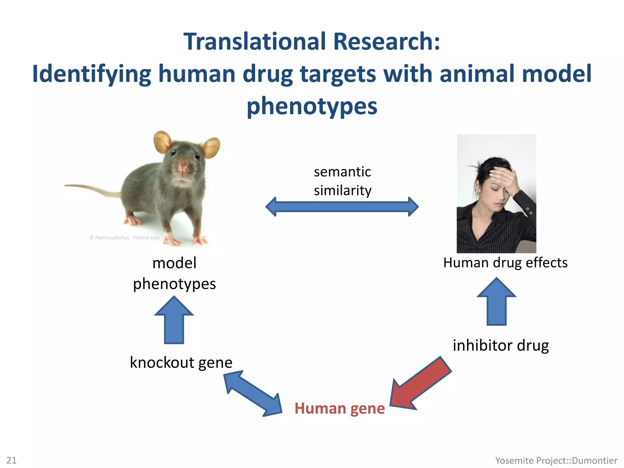 Translational Research:
Identifying human drug targets with animal model
phenotypes
inhibitor drug
knockout gene
model
phenotypes
Human drug effects
semantic
similarity
Human gene
Yosemite Project::Dumontier21
 