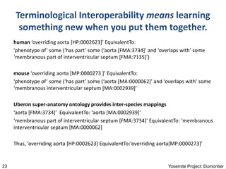 Terminological Interoperability means learning
something new when you put them together.
human ‘overriding aorta [HP:00026...