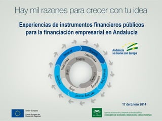 Experiencias de instrumentos financieros públicos
para la financiación empresarial en Andalucía

17 de Enero 2014

 