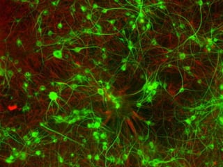 Martes, 28 de Enero de 2014 BigData, Internet of Things (IoT) y Deep Web 3
@emiliodelprado
#BigDataDircom
 