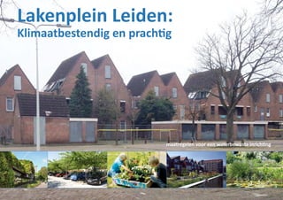 Lakenplein Leiden:
Klimaatbestendig en prachtig
maatregelen voor een waterbewuste inrichting
 