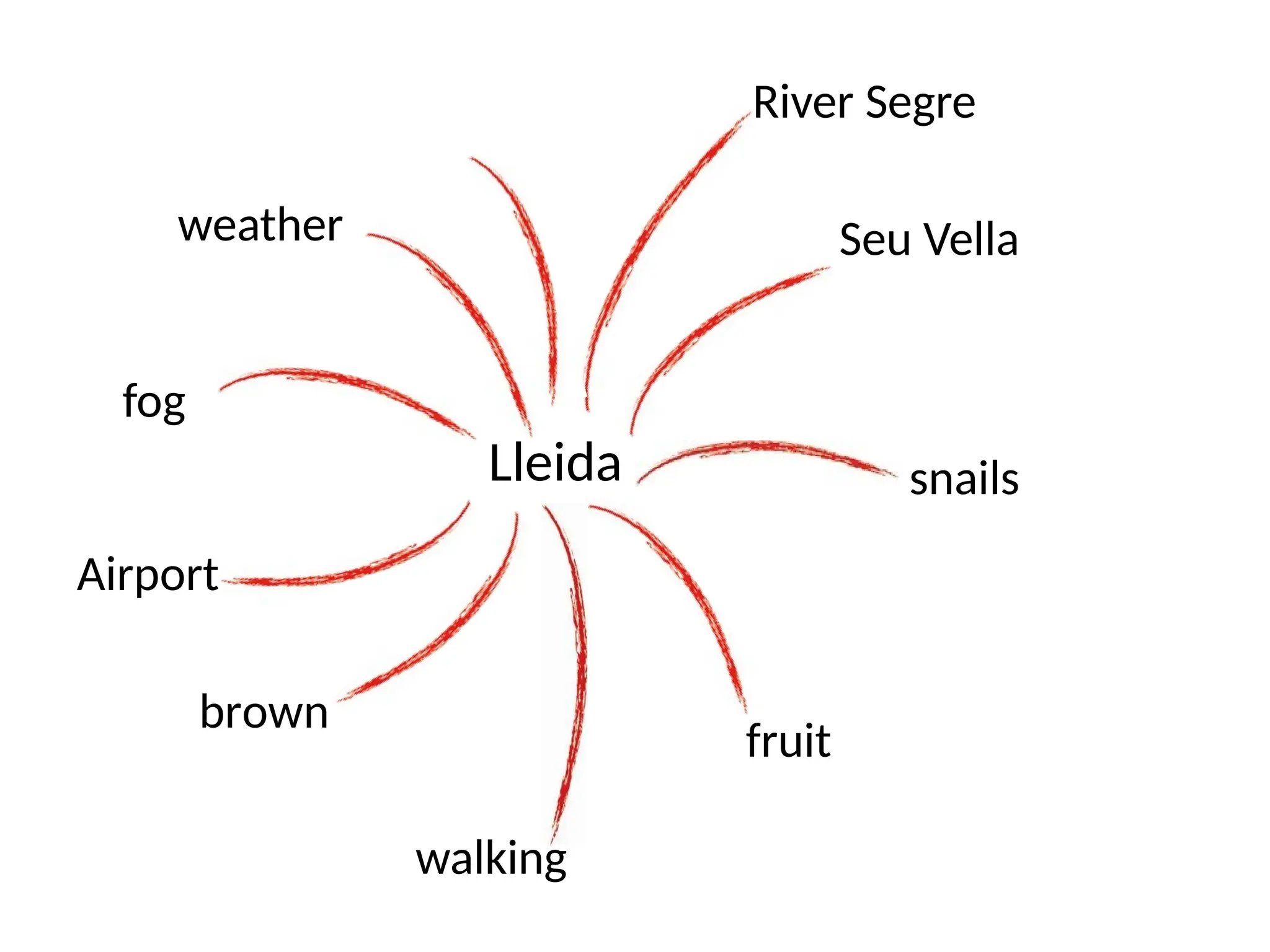 Lleida
Seu Vella
snails
fruit
Airport
fog
weather
brown
walking
River Segre
 