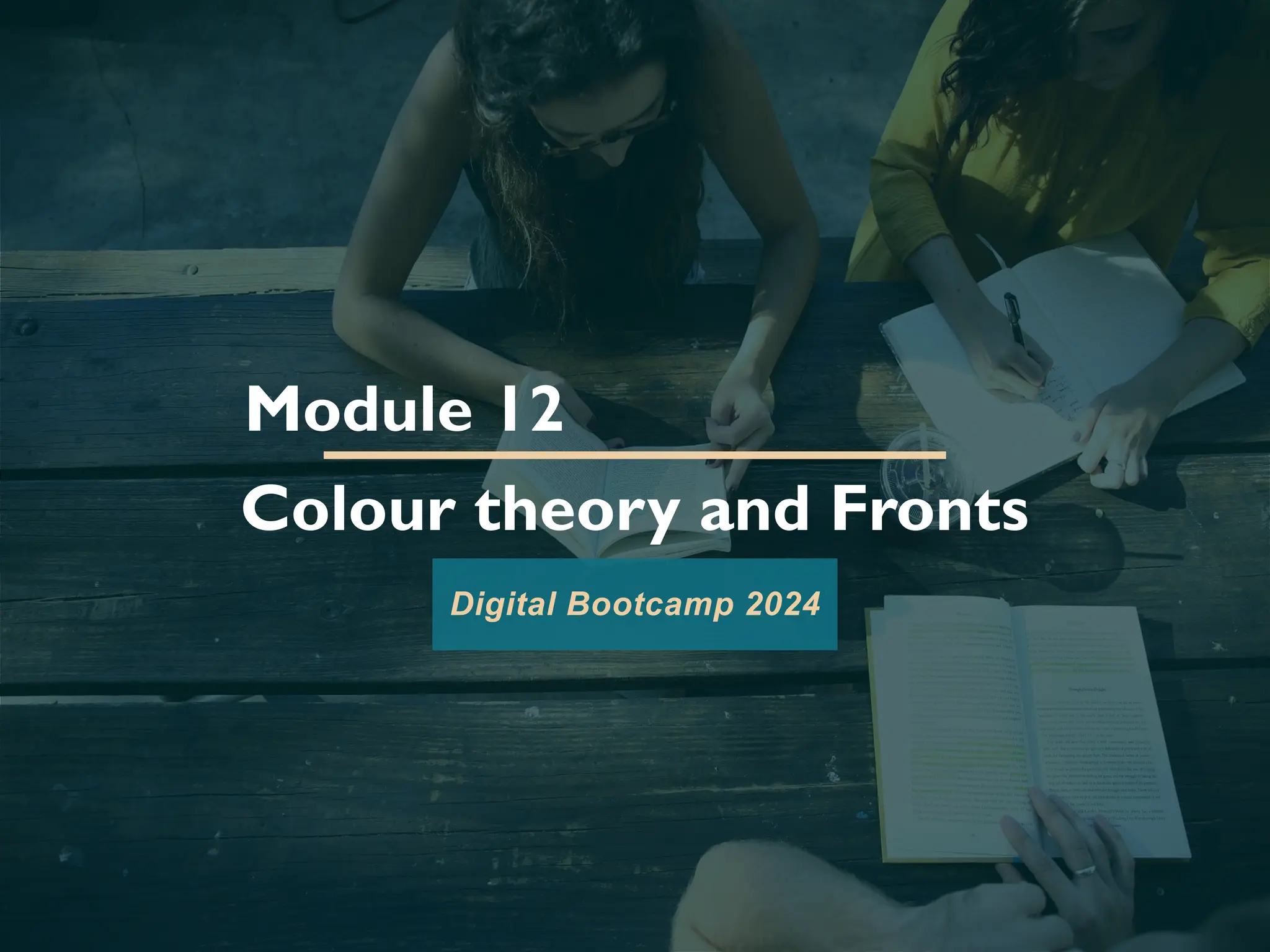 Module 12
Colour theory and Fronts
Digital Bootcamp 2024
 