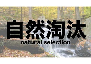 自然淘汰
natural selection

 