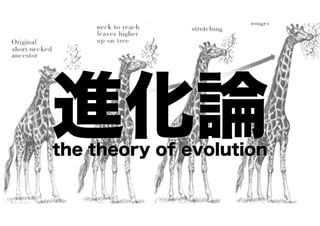 進化論
the theory of evolution

 