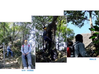 稜線在望

10:59，林間暫歇

 