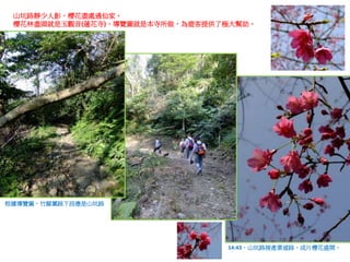 俯瞰岩稜，剛才走過? 還是爬過? 當時腦裡一片空白，記不得了。

 