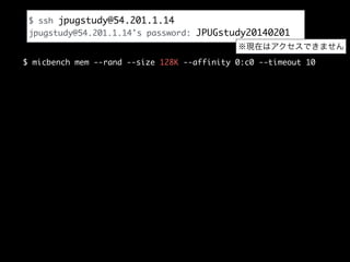 $ ssh jpugstudy@54.201.1.14	
jpugstudy@54.201.1.14's password: JPUGstudy20140201
※現在はアクセスできません
$ micbench mem --rand --size 128K --affinity 0:c0 --timeout 10

 