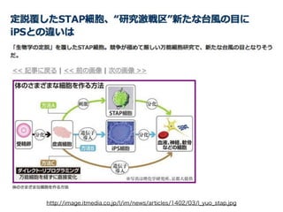 http://image.itmedia.co.jp/l/im/news/articles/1402/03/l_yuo_stap.jpg

 