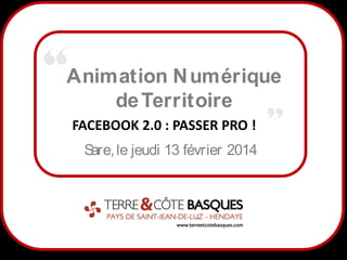 Animation N umérique
de Territoire
FACEBOOK 2.0 : PASSER PRO !
S le jeudi 13 février 2014
are,

1

 