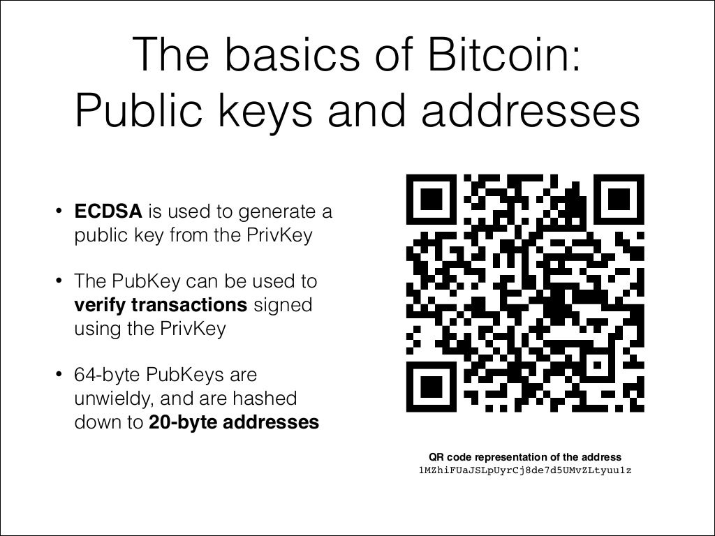 The Basics Of Bitcoin Public - 