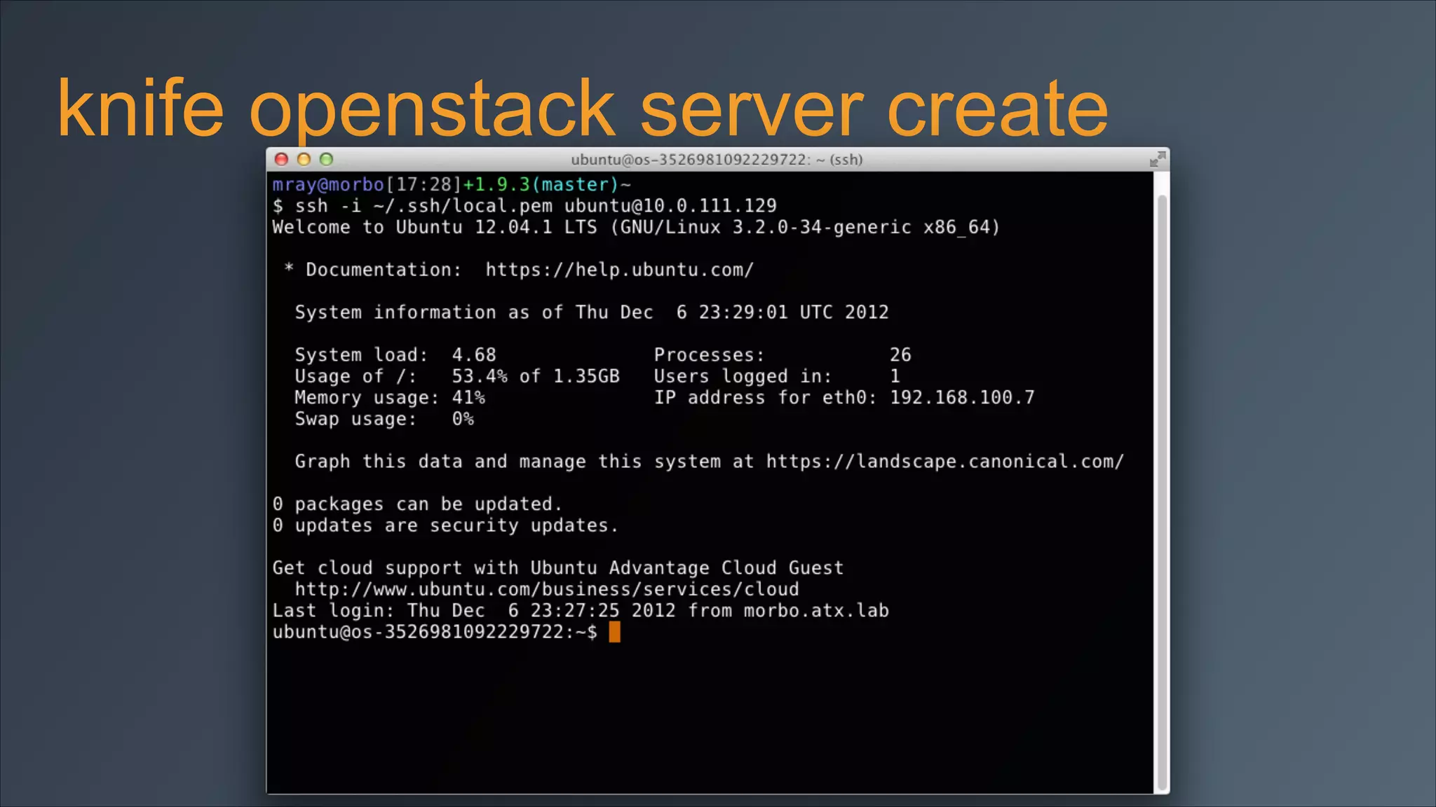 knife openstack server create

 