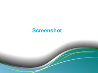 Screenshot

 