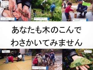 あなたも木のこんで
わさかいてみません
か？
 