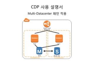 CDP 사용 설명서
Multi-Datacenter 패턴 적용

 
