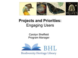 Projects and Priorities:
Engaging Users
Carolyn Sheffield
Program Manager
 