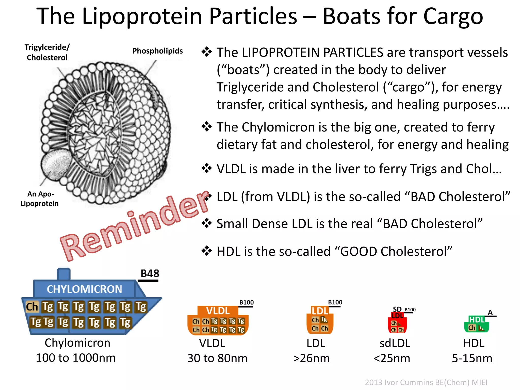 The Lipoprotein Particles – Boats for Cargo
Trigylceride/
Cholesterol
An Apo-
Lipoprotein
Phospholipids  The LIPOPROTEIN PARTICLES are transport vessels
(“boats”) created in the body to deliver
Triglyceride and Cholesterol (“cargo”), for energy
transfer, critical synthesis, and healing purposes….
 HDL is the so-called “GOOD Cholesterol”
 LDL (from VLDL) is the so-called “BAD Cholesterol”
 The Chylomicron is the big one, created to ferry
dietary fat and cholesterol, for energy and healing
Chylomicron
100 to 1000nm
sdLDL
<25nm
 VLDL is made in the liver to ferry Trigs and Chol…
 Small Dense LDL is the real “BAD Cholesterol”
HDL
5-15nm
LDL
>26nm
VLDL
30 to 80nm
2013 Ivor Cummins BE(Chem) MIEI
 