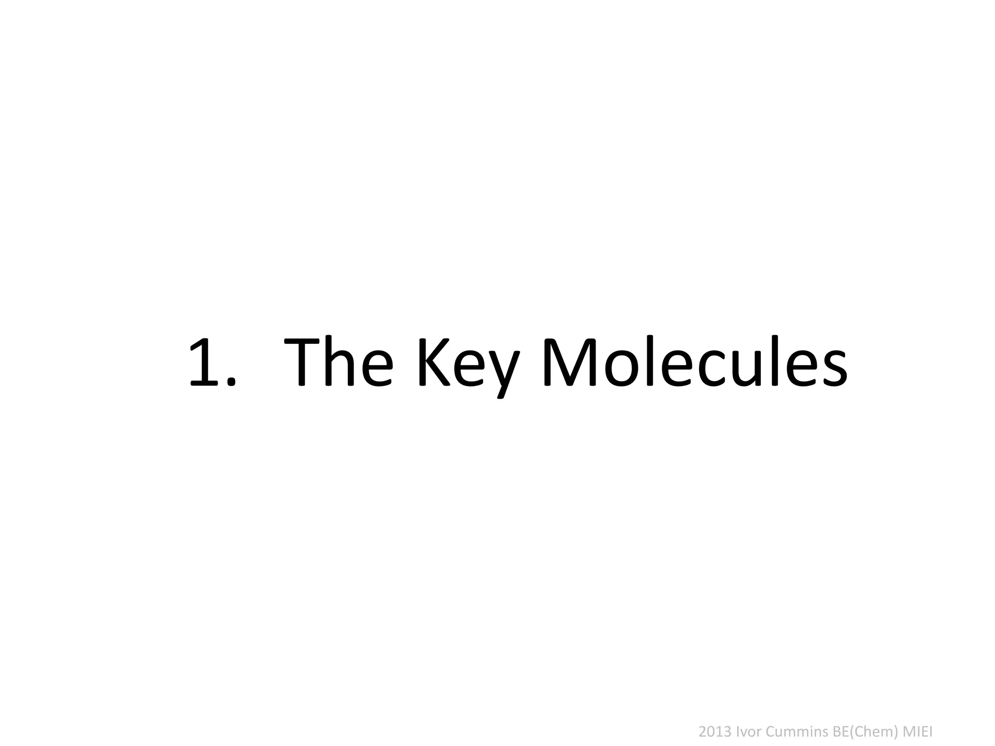 2013 Ivor Cummins BE(Chem) MIEI
1. The Key Molecules
 