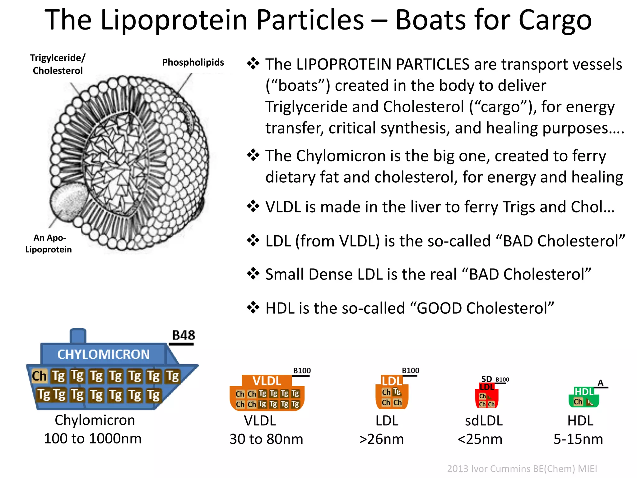The Lipoprotein Particles – Boats for Cargo
Trigylceride/
Cholesterol
An Apo-
Lipoprotein
Phospholipids  The LIPOPROTEIN PARTICLES are transport vessels
(“boats”) created in the body to deliver
Triglyceride and Cholesterol (“cargo”), for energy
transfer, critical synthesis, and healing purposes….
 HDL is the so-called “GOOD Cholesterol”
 LDL (from VLDL) is the so-called “BAD Cholesterol”
 The Chylomicron is the big one, created to ferry
dietary fat and cholesterol, for energy and healing
Chylomicron
100 to 1000nm
sdLDL
<25nm
 VLDL is made in the liver to ferry Trigs and Chol…
 Small Dense LDL is the real “BAD Cholesterol”
HDL
5-15nm
LDL
>26nm
VLDL
30 to 80nm
2013 Ivor Cummins BE(Chem) MIEI
 