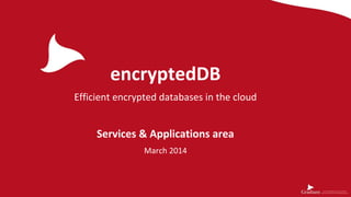 encryptedDB
Efficient encrypted databases in the cloud
Services & Applications area
March 2014
 