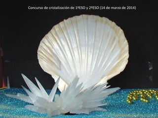 Concurso de cristalización de 1ºESO y 2ºESO (14 de marzo de 2014)
 