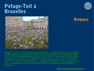 Potage-Toit à
Bruxelles
Potage-Toit est un projet de l’association bruxelloise « Le début des haricots ». L’objectif
est d...