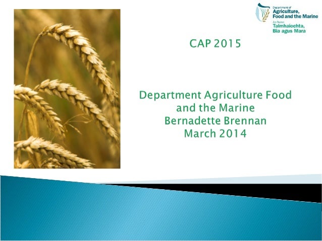 cap payments 2015