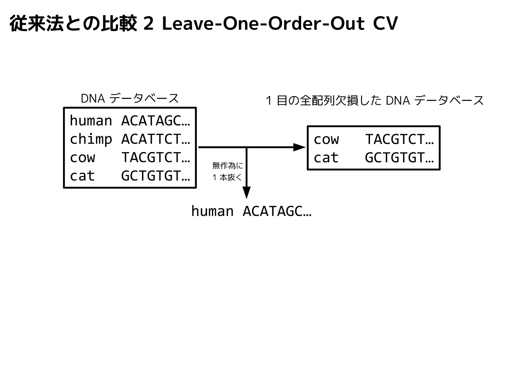 従来法との比較2 Leave-One-Order-Out CV 
DNA データベース1 目の全配列欠損したDNA データベース 
無作為に 
1 本抜く 
human ACATAGC… 
human ACATAGC… 
chimp ACATTCT… 
cow TACGTCT… 
cat GCTGTGT… 
cow TACGTCT… 
cat GCTGTGT… 
 