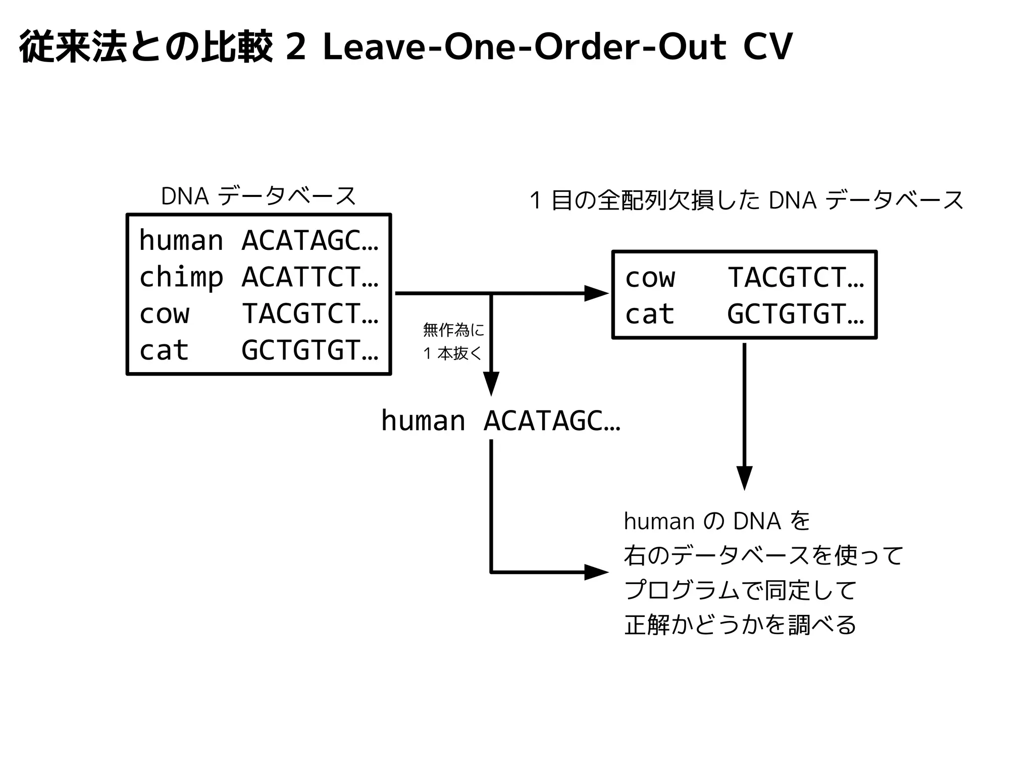 従来法との比較2 Leave-One-Order-Out CV 
DNA データベース1 目の全配列欠損したDNA データベース 
human ACATAGC… 
human のDNA を 
右のデータベースを使って 
プログラムで同定して 
正解かどうかを調べる 
無作為に 
1 本抜く 
human ACATAGC… 
chimp ACATTCT… 
cow TACGTCT… 
cat GCTGTGT… 
cow TACGTCT… 
cat GCTGTGT… 
 