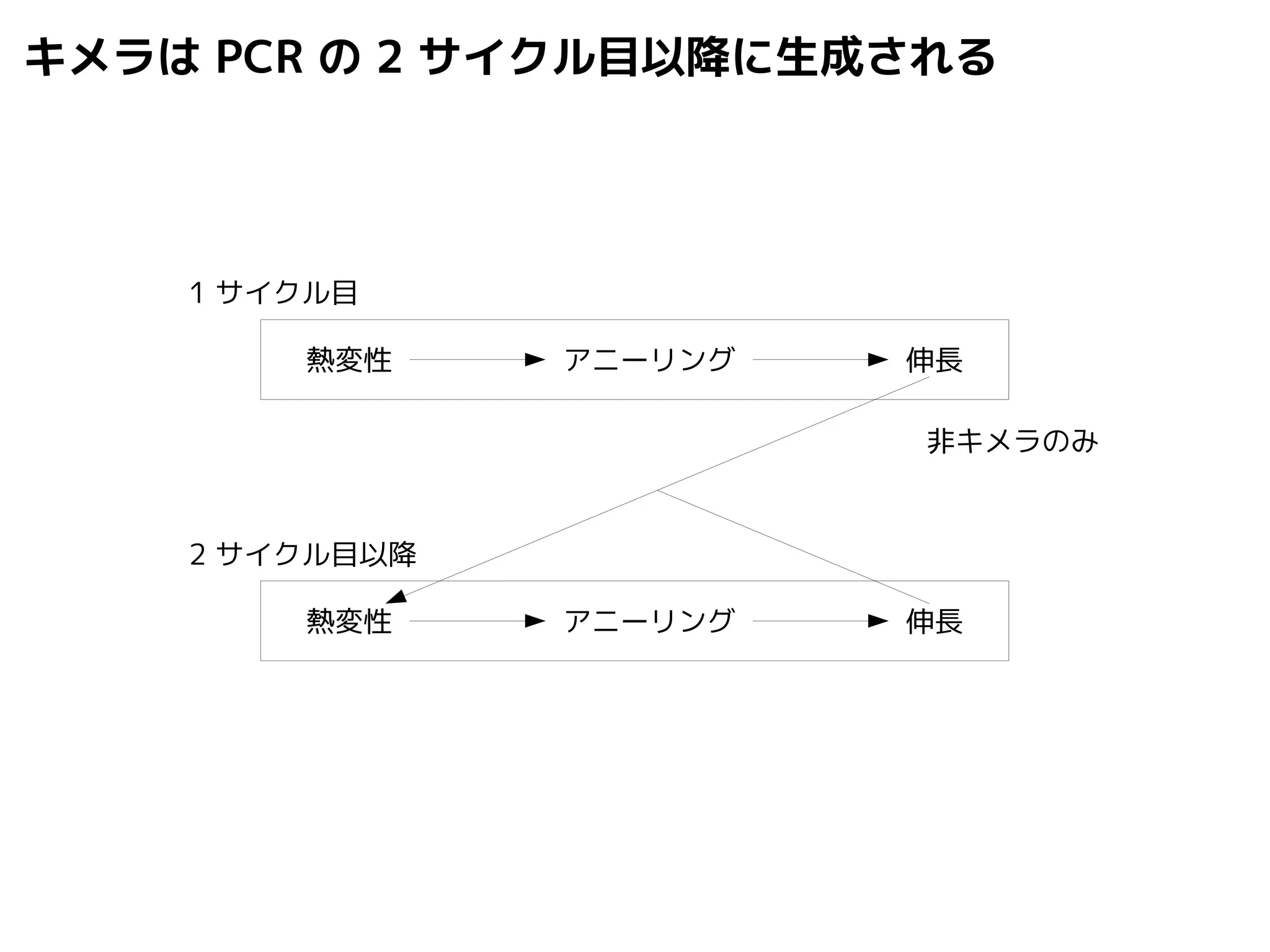 キメラはPCR の2 サイクル目以降に生成される 
1 サイクル目 
熱変性アニーリング伸長 
2 サイクル目以降 
非キメラのみ 
熱変性アニーリング伸長 
 